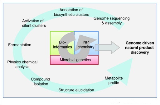 Genetics homework help and assignment help   youtube