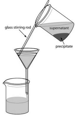 1071_procedure for transferring supernatant to the filter paper cone.jpg