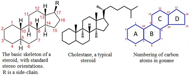 Best 50 Tips For anabolic steroids uk