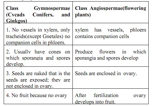 Biodiversity Assignment