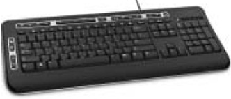 1520_Input Device Homework Help 1.jpg