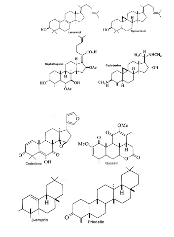 Biosynthesis of steroids from squalene