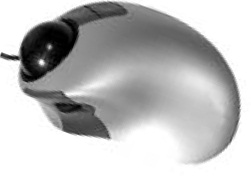 2394_Input Device Homework Help 2.jpg