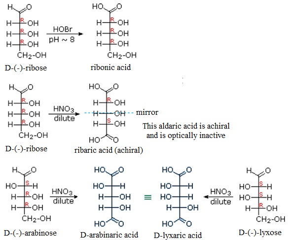 372_Oxidation reactions involving Carbohydrates.jpg