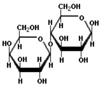741_Lactose structure.jpg
