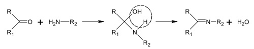 900_Synthesis of Schiff bases.jpg