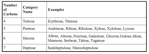 1047_Monosaccharide classifications.jpg