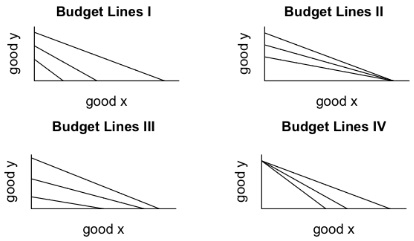 1053_Budget lines.jpg