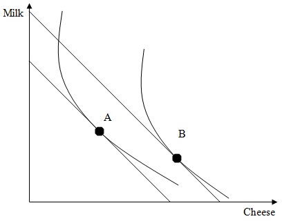 1069_Indifference curve and budget line.jpg