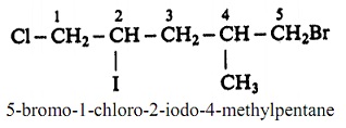 1094_5-bromo-1-chloro-2iodo-4-methylpentane.jpg