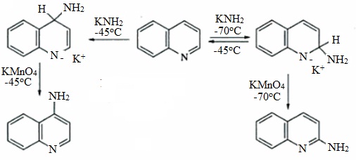 1166_Chichibabin-type reaction.jpg