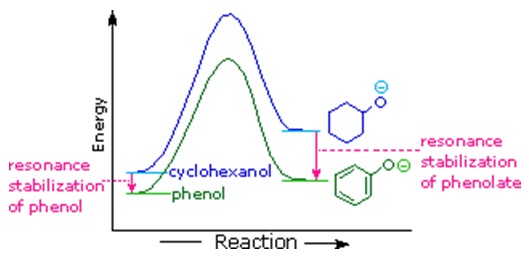 1188_Reactions of phenols Homework Help 1.jpg