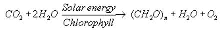1220_photosynthesis formula.jpg
