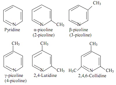 1320_Pyridine-Nomenclature and Isomerism.jpg