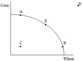 1393_PPF curve.jpg