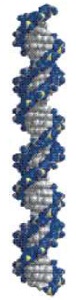 1407_B DNA.jpg