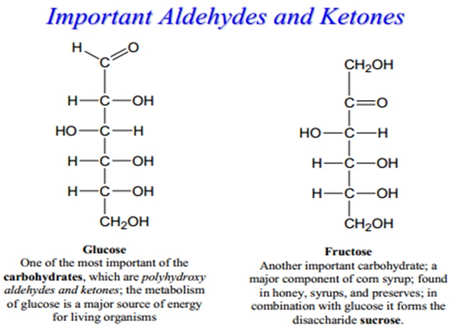 1457_Occurrence of Aldehydes and Ketones Homework Help.jpg