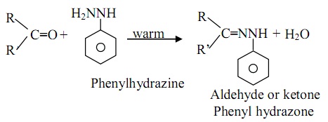 1501_Reaction with Phenylhydrazine.jpg