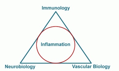 1512_Immunology.jpg