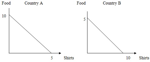 1516_PPf for producing either shirts-food.jpg