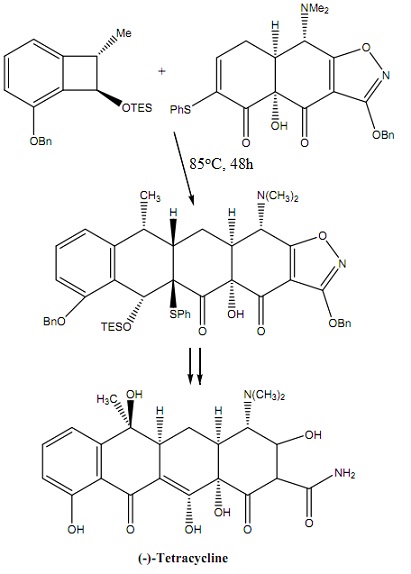 1646_Synthesis of tetracycline.jpg