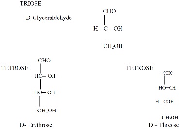 monosaccharide examples