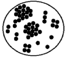 1706_Staphylococcus.jpg