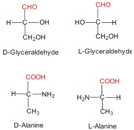 1715_Amino acid structure-Fischer Diagrams.jpg