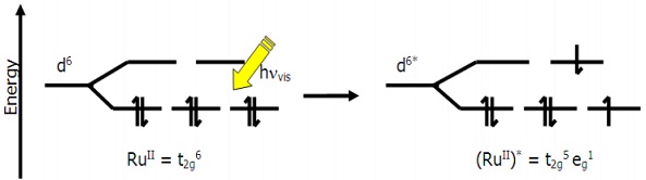 1761_Absorption of a photon of visible light causes a d-d transition in.jpg