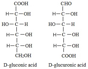1798_Uronic acids.jpg