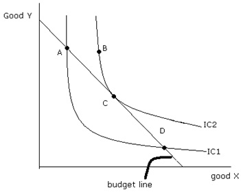 1824_Consumer indifference curves and budget line.jpg