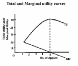 1833_explanation of marginal utility.jpg
