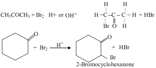 1872_Base catalysed halogenations.jpg