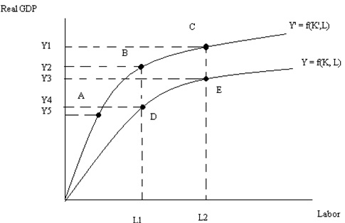 1911_Economy aggregate production function.jpg