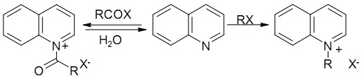 1949_Reactions of Quinoline with Acyl and Alkyl Halides.jpg
