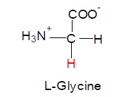 1961_Amino acid structure.jpg