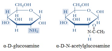 2053_Amino sugars or aminosaccharides.jpg