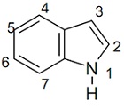 206_Structure of Indole.jpg
