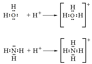 2074_Formation of hydronium ion and ammonium ion.jpg