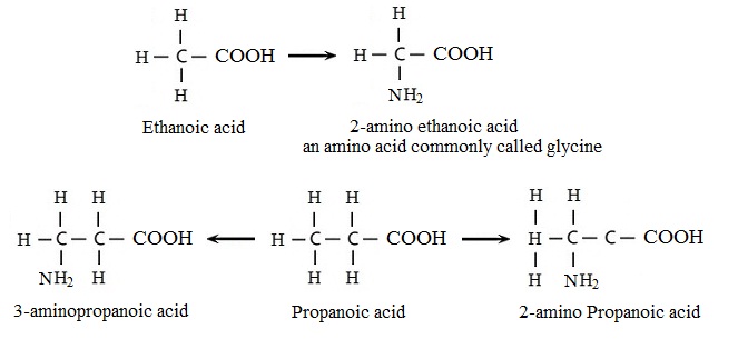 2112_Amino acids substituted alkanoic acids.jpg