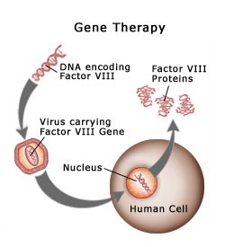 2124_gene_therapy.jpg