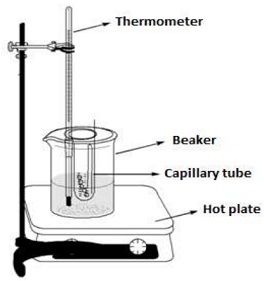 2126_Boiling Point Apparatus Set Up.jpg