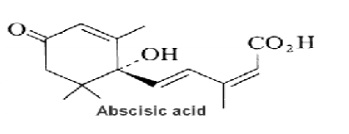 21_Abscisic acid.jpg