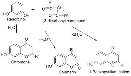 2210_Synthesis of 2-Benzopyrilium  Salts, Chromone and Coumarin.jpg