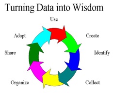 2240_Turning-Data-into-Wisdom.jpg
