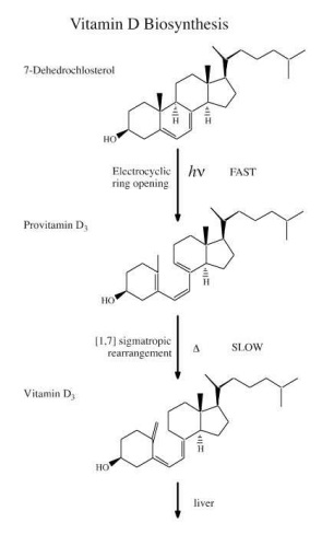 2264_Sigmatropic rearrangement in biosynthesis of vitamin D.jpg