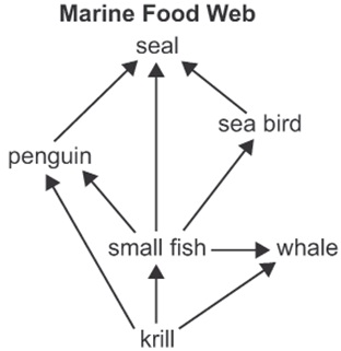2327_marine food web.jpg