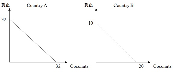 2336_PPF-Fish or coconuts.jpg