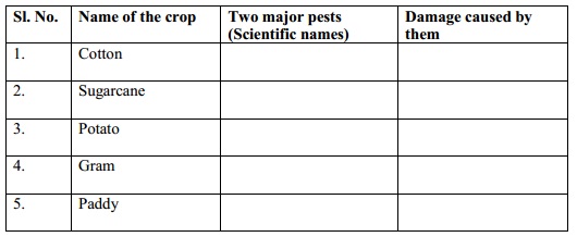 2337_pests and their affects.jpg
