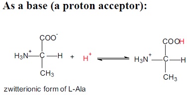 2349_As a base-proton acceptor.jpg